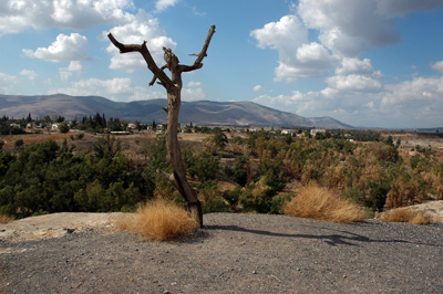 Mount Gilboa from  atop the tel of Bethshan. Photo by Ferrell Jenkins.